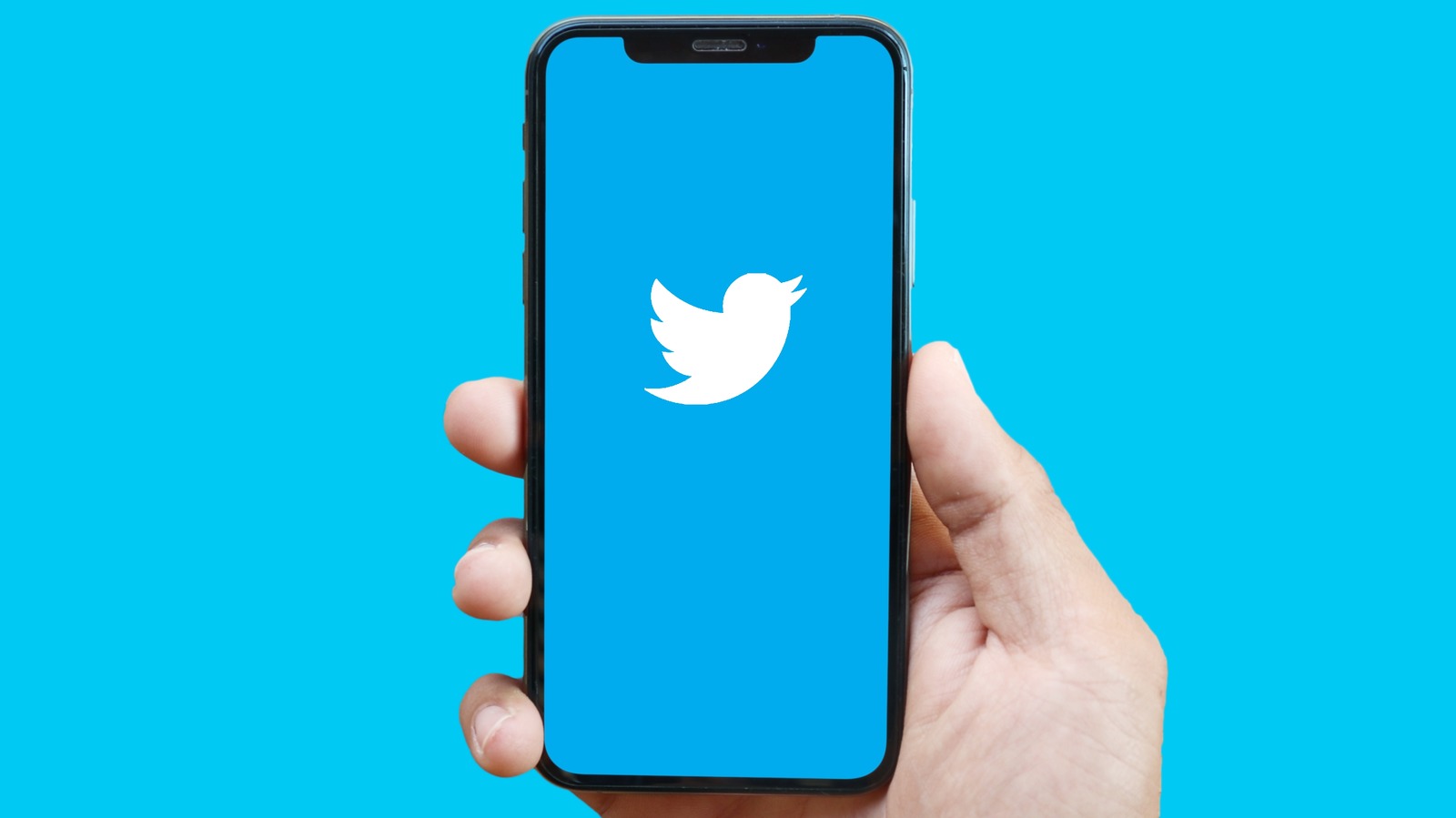 Twitter Blue May Backfire, And That Could Mean The End Of Free Access