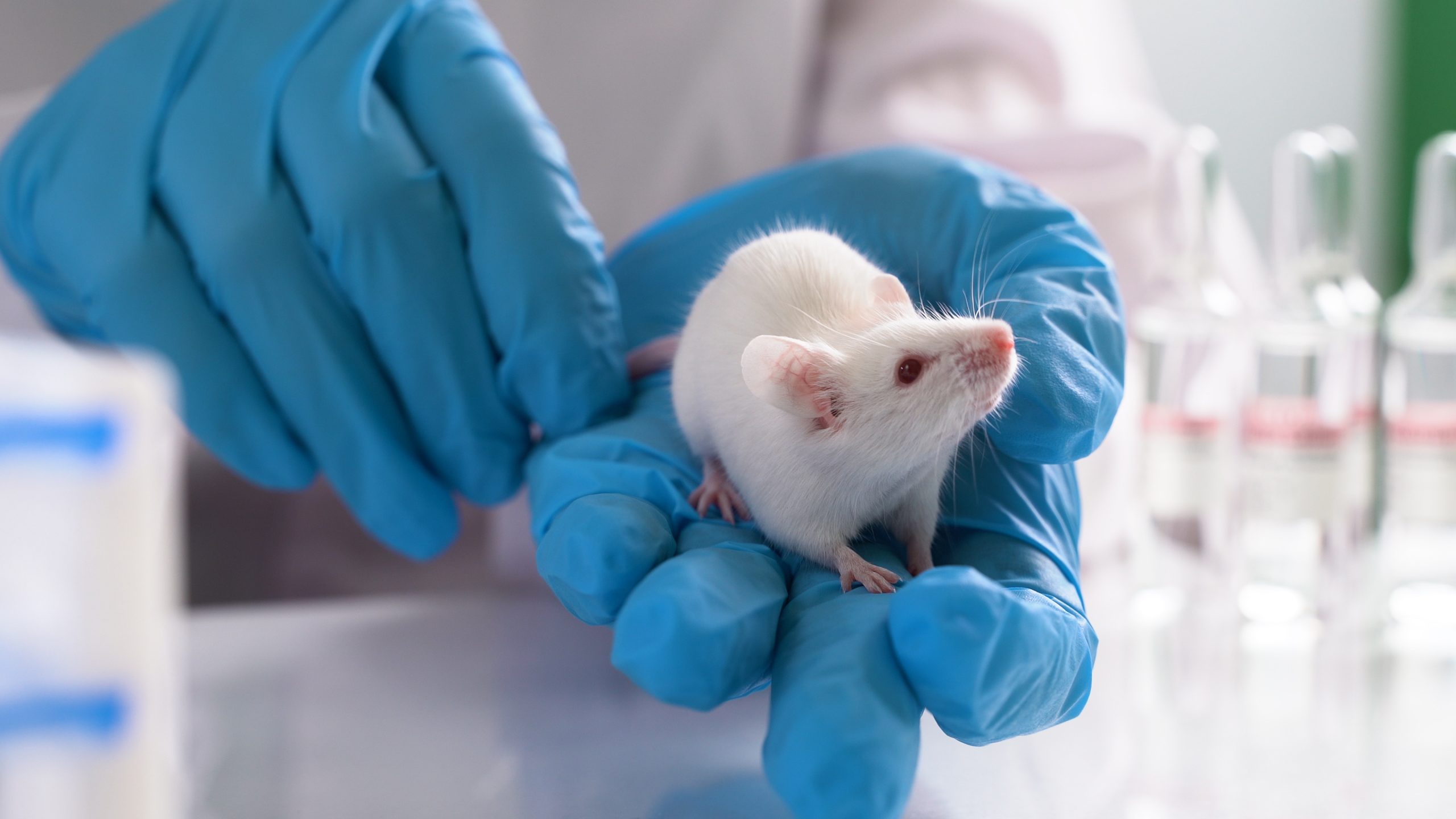 Researchers implanted mini human brains in mice, and they respond to light