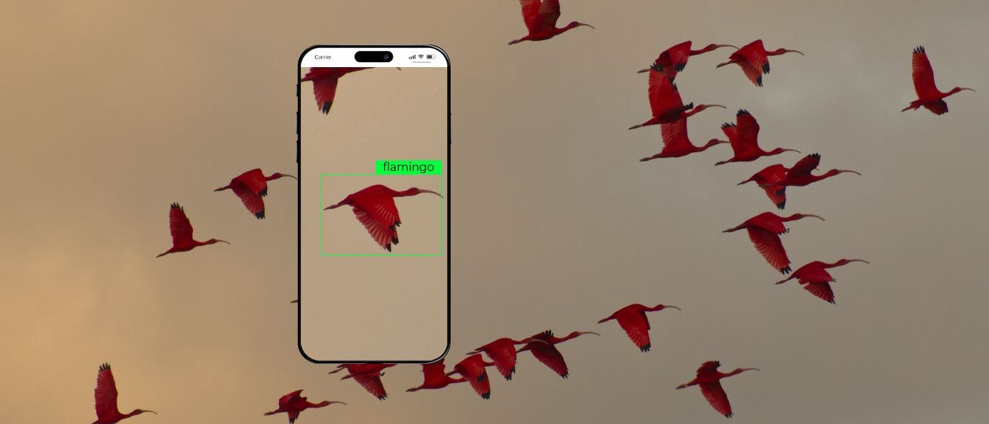 Creating a Bird Detection AI: From Ideation to Product Launch