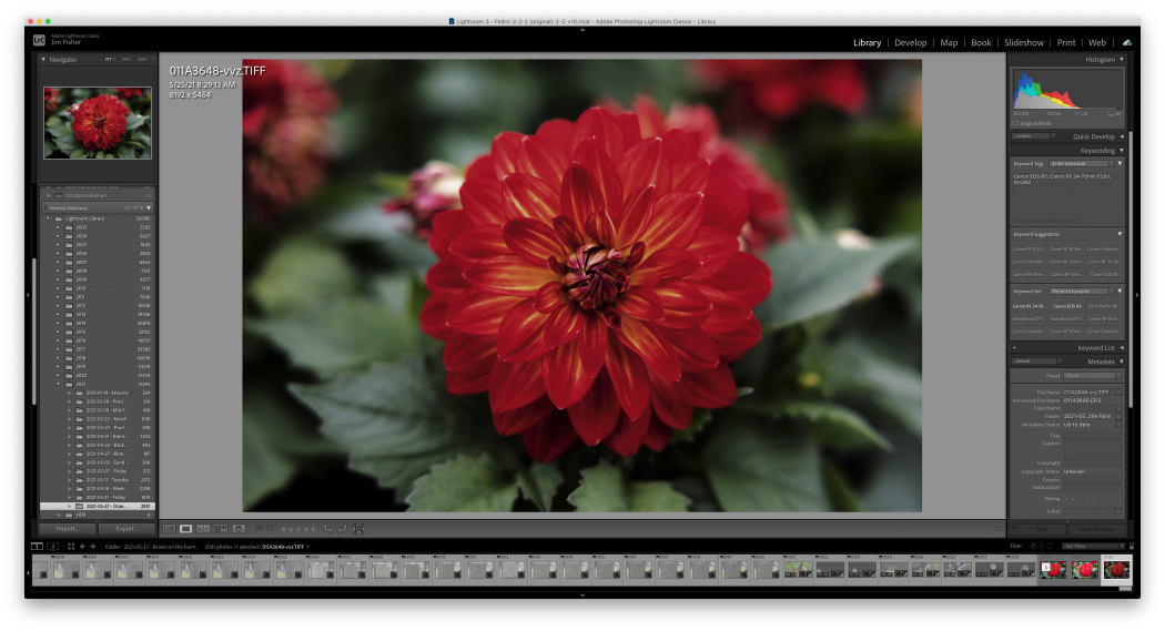 Adobe Broadens Project Indigo Support to iPhone 17 Series with Specific Restrictions