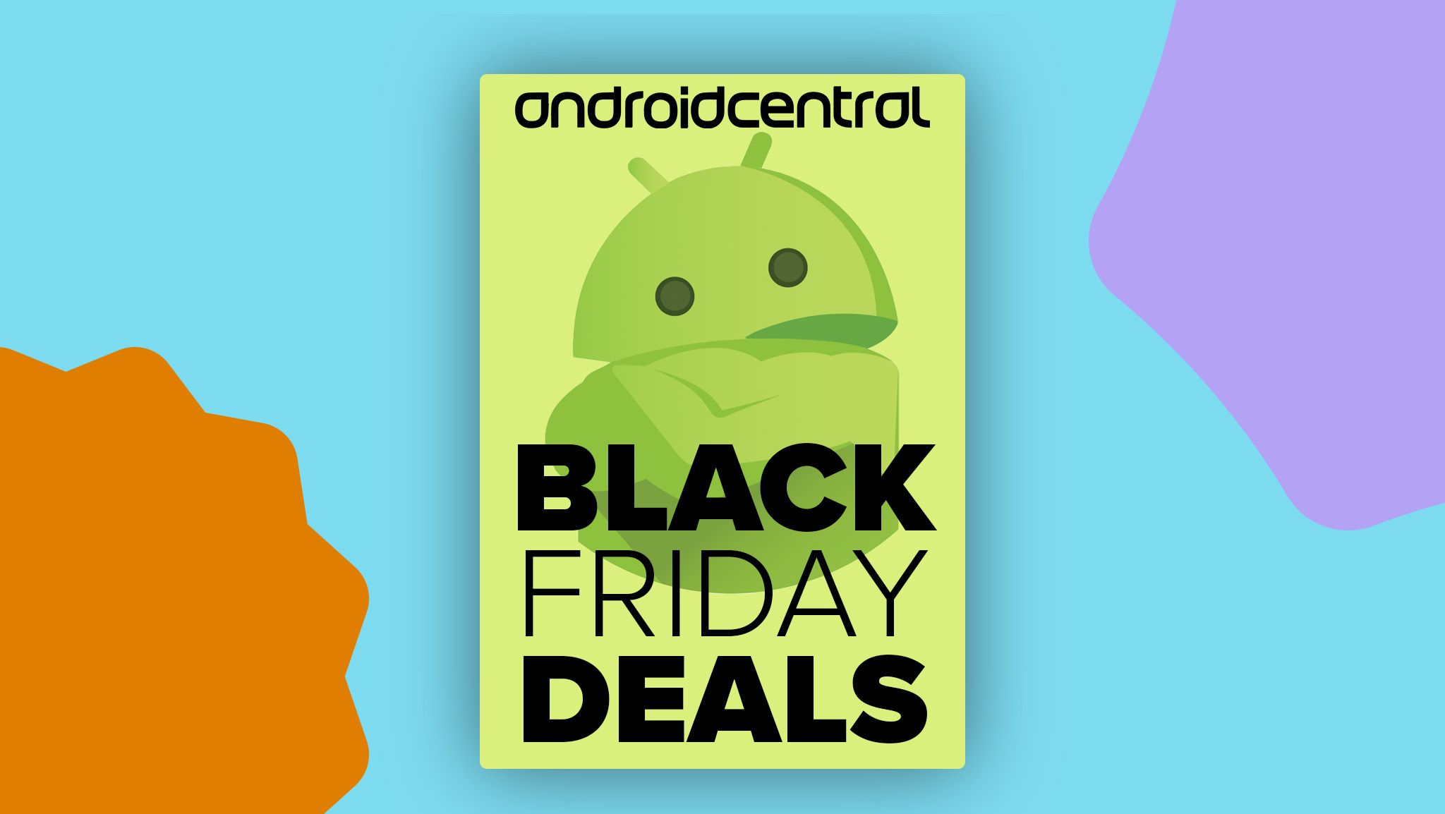 Annual Purchasing Occasion: Black Friday