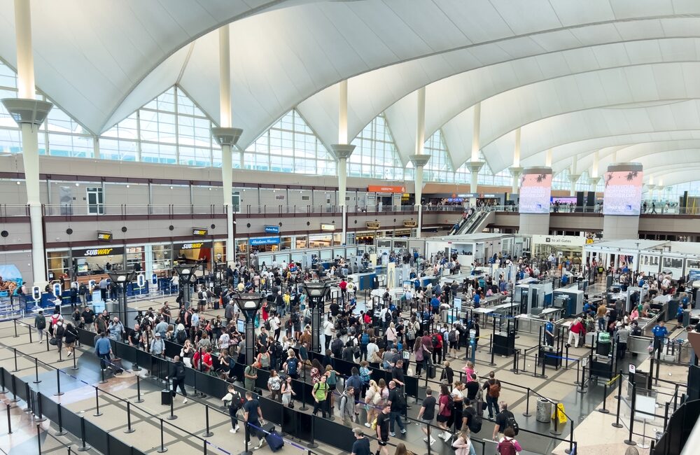 User Insights on the Efficiency of TSA's Digital ID System