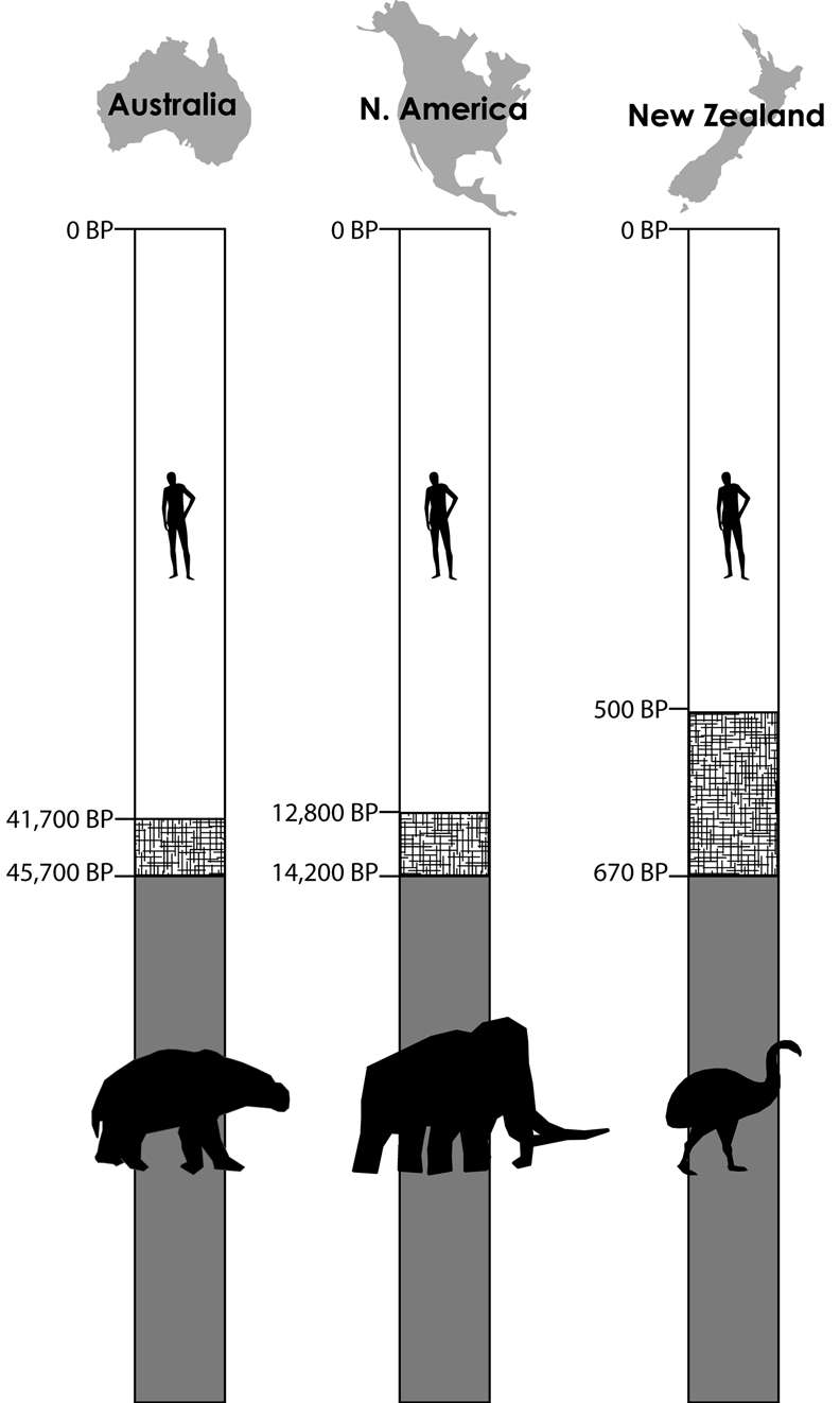 6,000-Year-Old Remnants May Uncover the Story of an Extinct Tribe