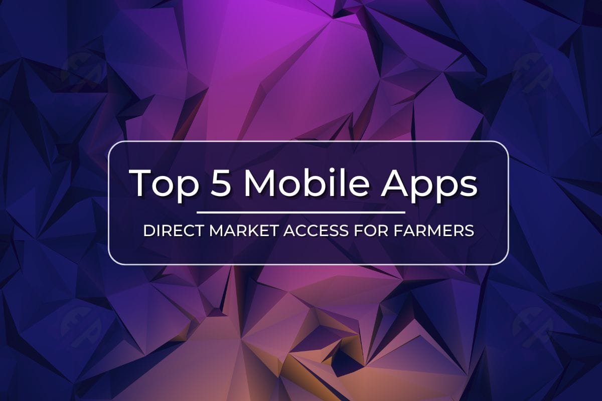 Five Complimentary Android Applications for Everyday Money Conservation