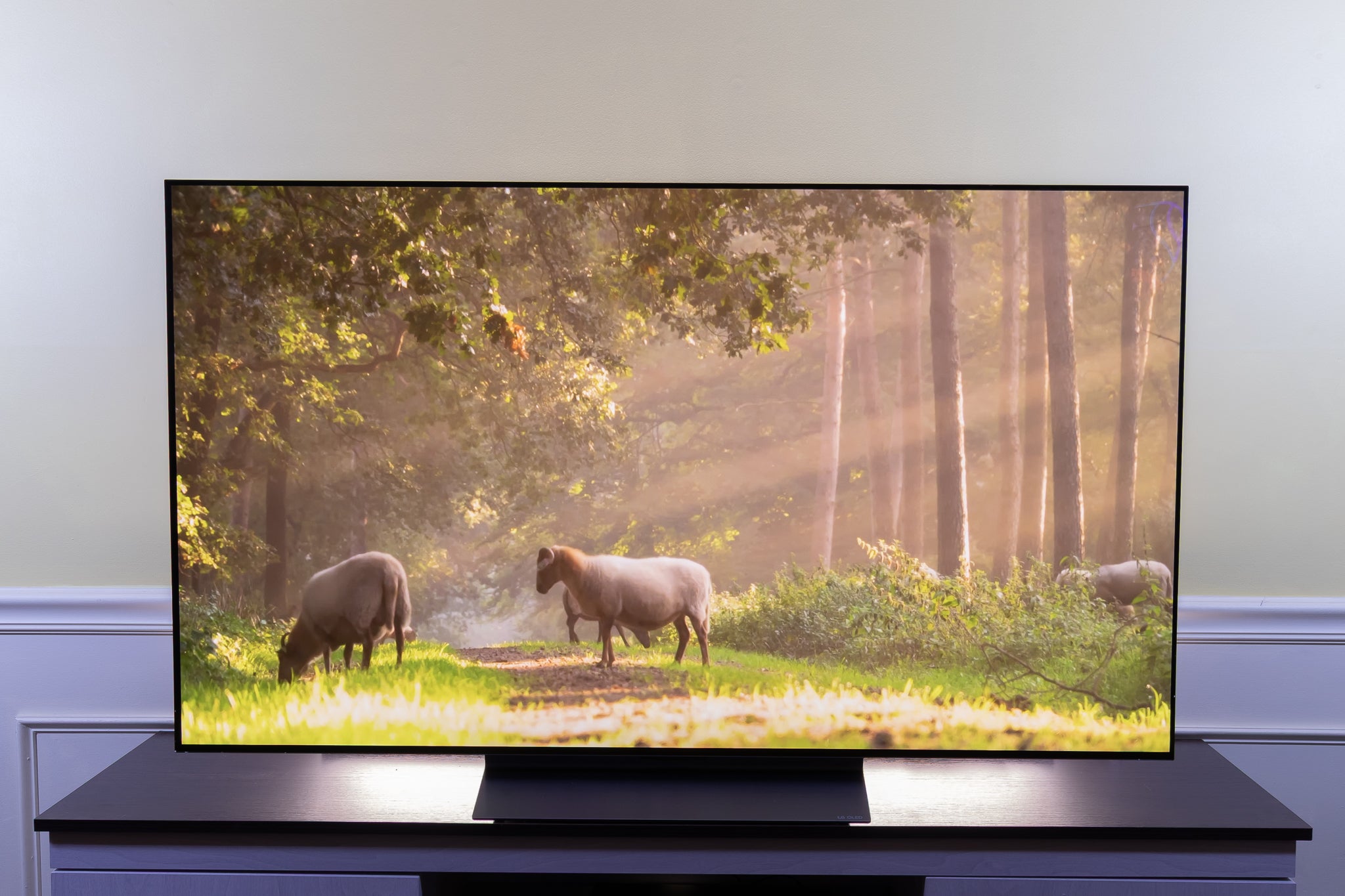 How to Tell Apart Costly and Inexpensive TVs