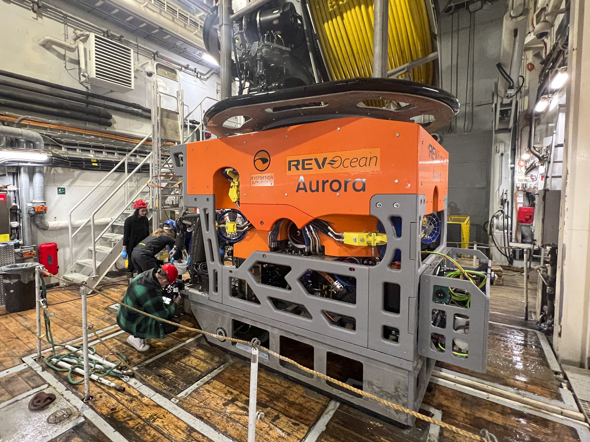 Researchers Uncover Several New Species During Deep Sea Exploration