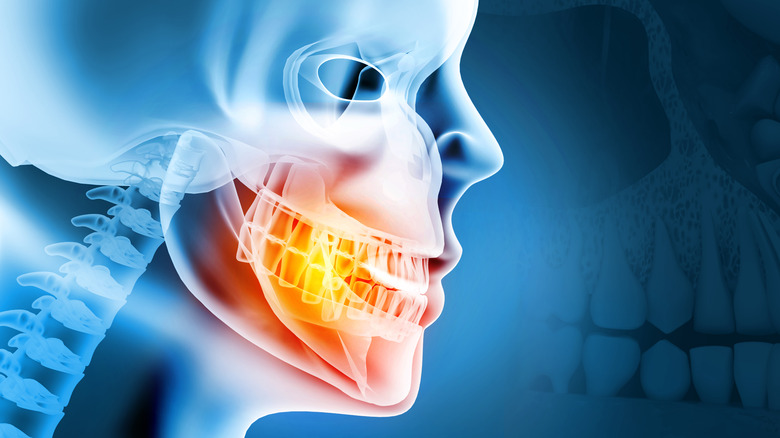 Stem Cell Investigation Discovers Two Cells Capable of Regenerating Teeth and Bone