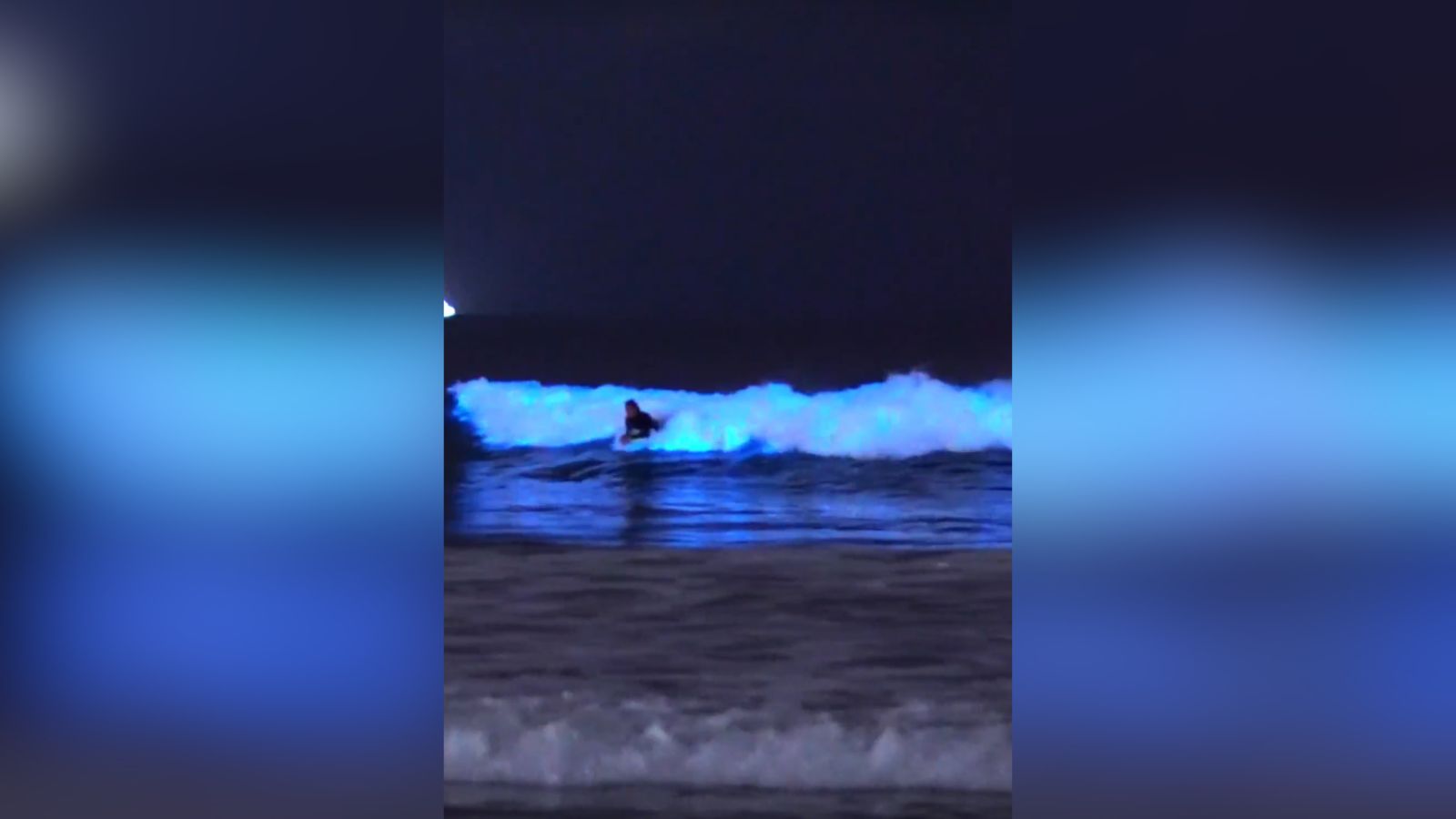 The Reasons Behind Bioluminescent Waves