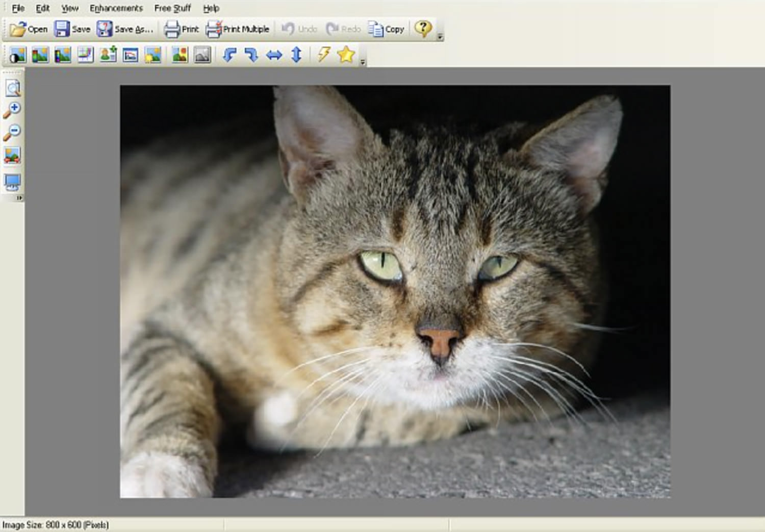 Users Recommend This Complimentary Substitute for Adobe Photoshop