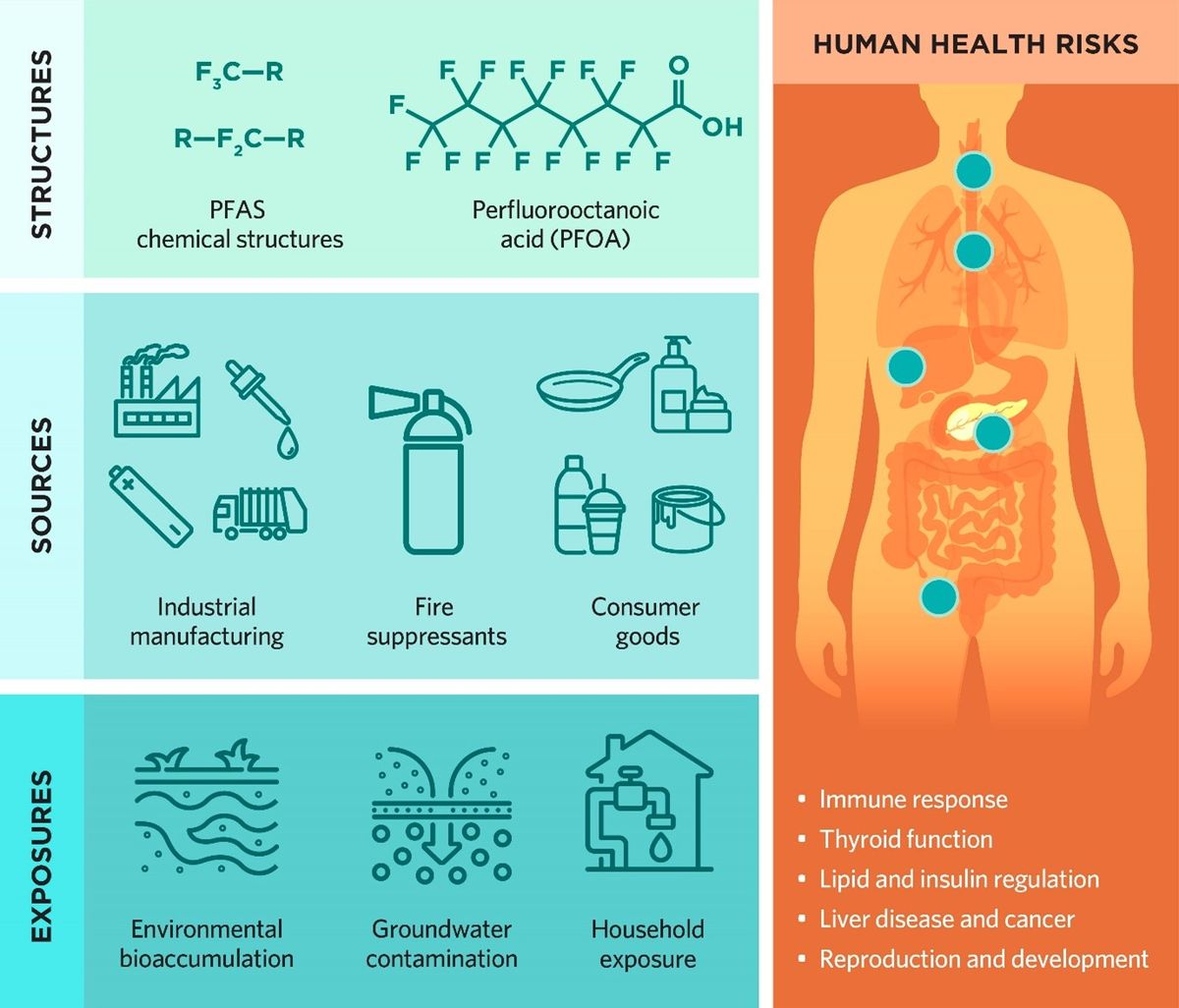 A Compilation of 11 Environmental Chemicals and Compounds Associated with Cancer