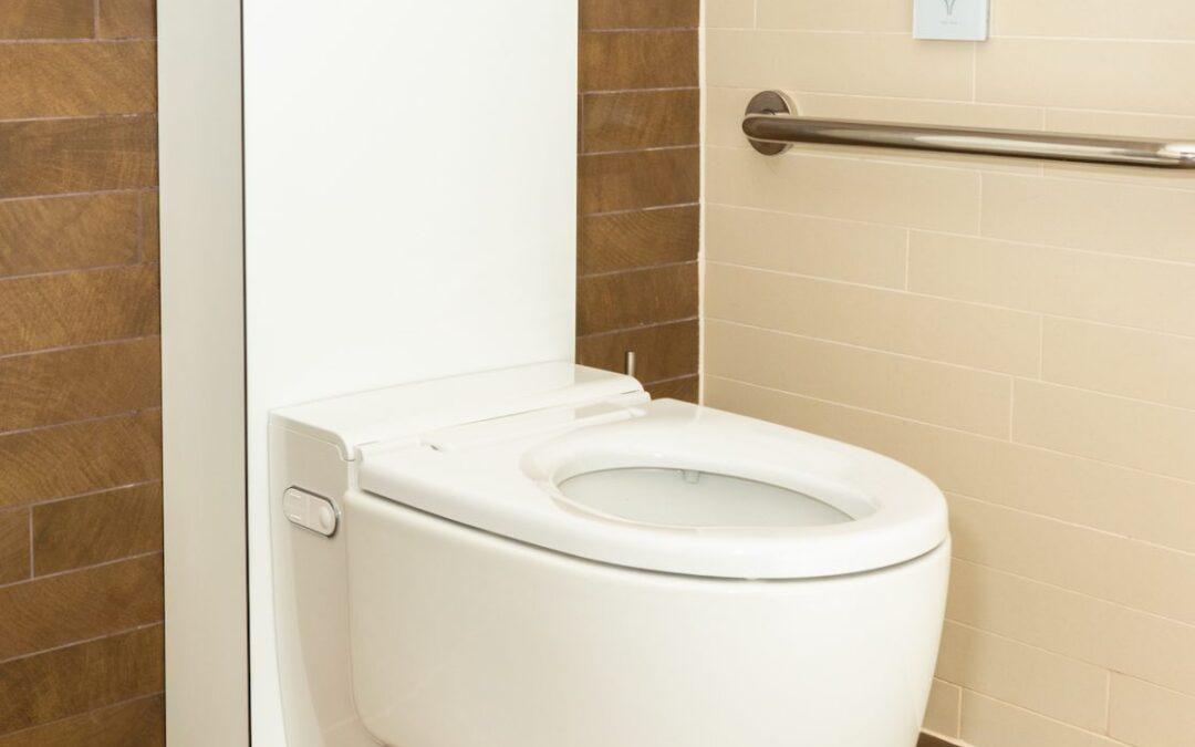 Functions and Characteristics of Intelligent Toilets