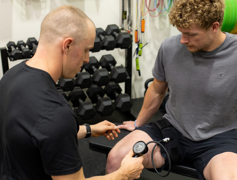 How to Gain Access to the New Gemini Home Assistant Ahead of Time, with a Restriction