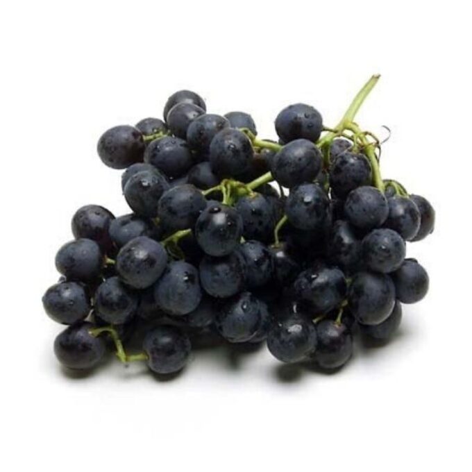 Speechify Introduces Mac Application That Boosts Writing Rate by 500% Using Voice Input