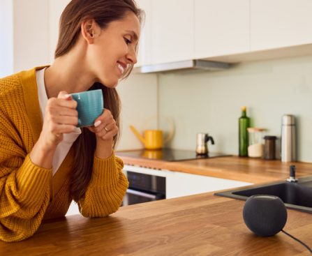 Advantages of Implementing a Voice Assistant in Your Smart Home