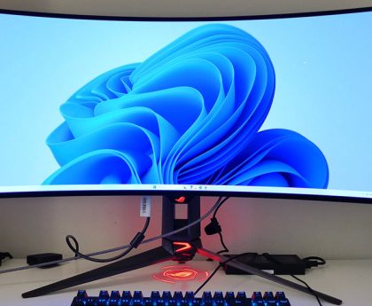 Expert Perspectives on the Longevity of OLED Computer Displays