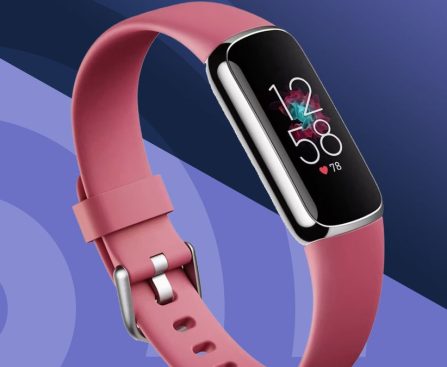 Garmin Unveils AI Nutrition Features in Connect Plus to Engage Athletes