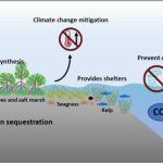 Mosyle Uncovers Initial Case of AI-Powered Mac Malware Risk