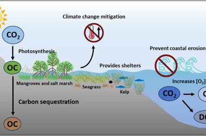Mosyle Uncovers Initial Case of AI-Powered Mac Malware Risk