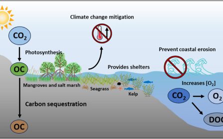Mosyle Uncovers Initial Case of AI-Powered Mac Malware Risk