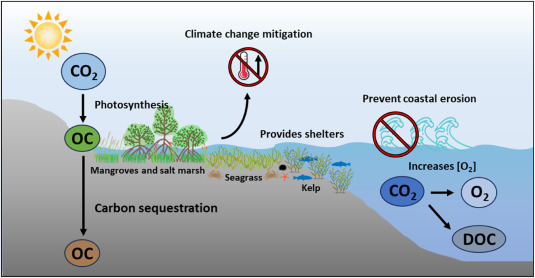 Mosyle Uncovers Initial Case of AI-Powered Mac Malware Risk