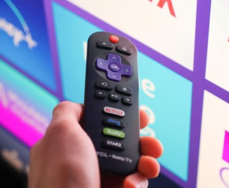 Reasons Why Certain Individuals Have an Aversion to Roku