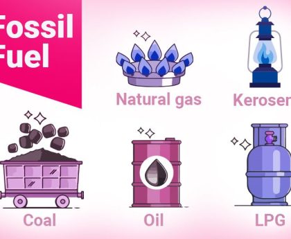 Uncover a Gas Substitute Free from Petroleum to Take the Place of Fossil Fuels