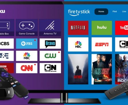 User Perspectives on the Durability of Roku Streaming Sticks