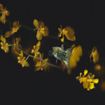 AI's Promise to Indie Filmmakers: Faster, Cheaper, Lonelier