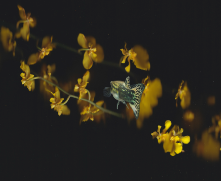 AI's Promise to Indie Filmmakers: Faster, Cheaper, Lonelier