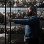 Apple Assesses New 'Deep Red' Hue for iPhone 18 Pro; No 'Playful Colors' Anticipated for iPhone Fold, Per Report