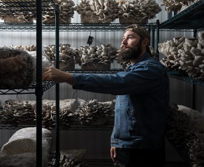 Apple Assesses New 'Deep Red' Hue for iPhone 18 Pro; No 'Playful Colors' Anticipated for iPhone Fold, Per Report