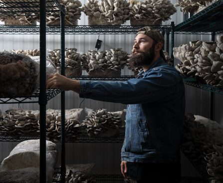 Apple Assesses New 'Deep Red' Hue for iPhone 18 Pro; No 'Playful Colors' Anticipated for iPhone Fold, Per Report