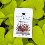 Apple Introduces New 'Sales Coach' Application on the App Store, Succeeding 'SEED'