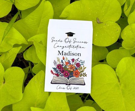 Apple Introduces New 'Sales Coach' Application on the App Store, Succeeding 'SEED'