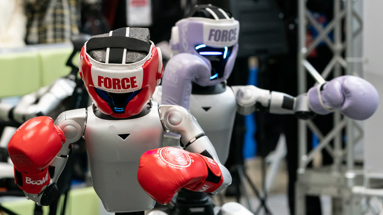 Unitree G1 robots preparing for a boxing match