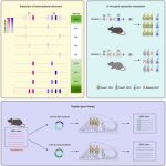 Common Medication Exhibits Promise in Addressing Hereditary Hearing Impairment