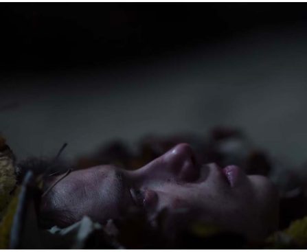 Highly Praised Horror Movie of the Last Ten Years Now Accessible on Peacock