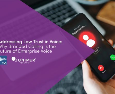 Reasons Your iPhone Blocks the Decline of Specific Calls