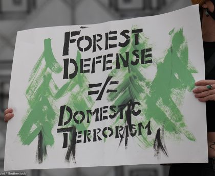 Ring Suspends Collaborative Police Initiatives Due to Privacy Issues