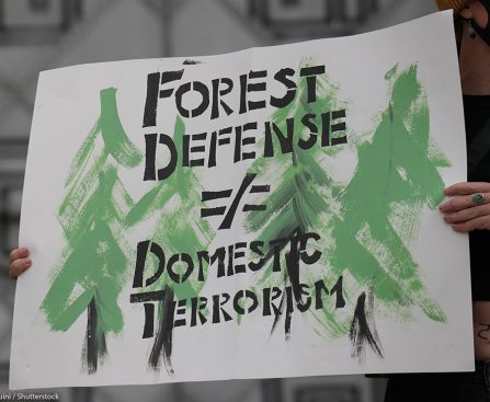 Ring Suspends Collaborative Police Initiatives Due to Privacy Issues