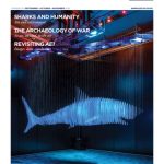 Spare's Odyssey After Shark Tank: Progressions Subsequent to Season 10