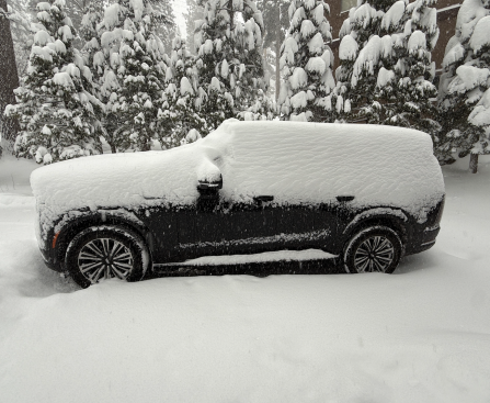 The 9,000-Pound Beast I’m Reluctant to Return