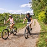 Top 5 E-Bikes Suggested by Consumer Reports