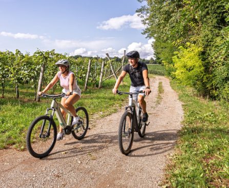 Top 5 E-Bikes Suggested by Consumer Reports