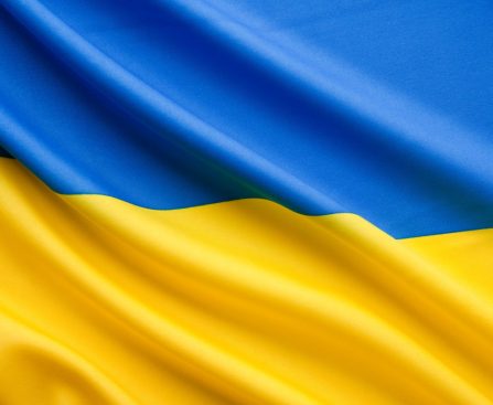 Ukraine's Startups Continue to Thrive