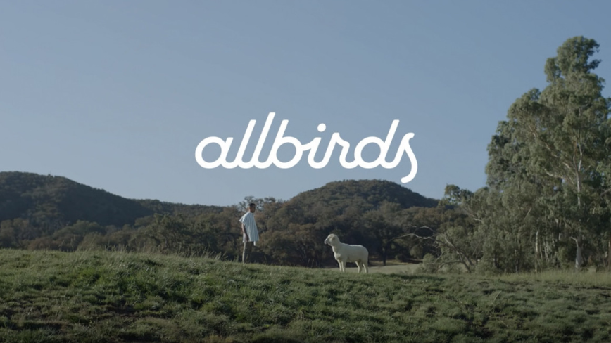 Allbirds to Sell All Assets for $39M