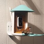 Amazon's Big Spring Sale is a great opportunity to purchase a sophisticated AI-powered bird feeder