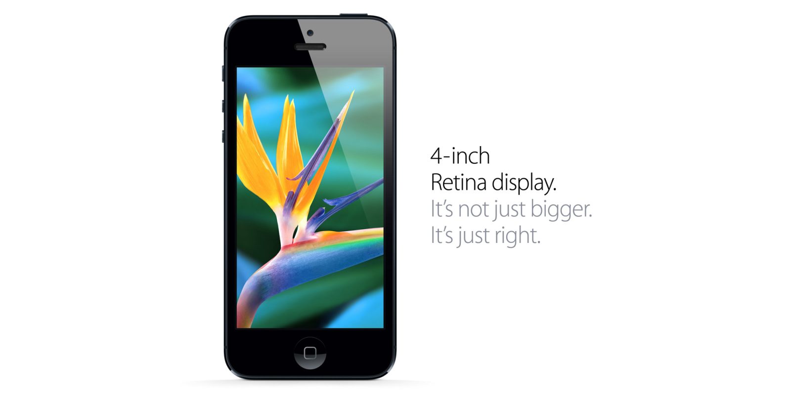 Apple Adds Two iPhone Models to Its 'Obsolete Products' Catalog