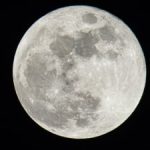 April 2026 Full Moon: Witness the Pink Moon