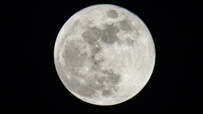 April 2026 Full Moon: Witness the Pink Moon